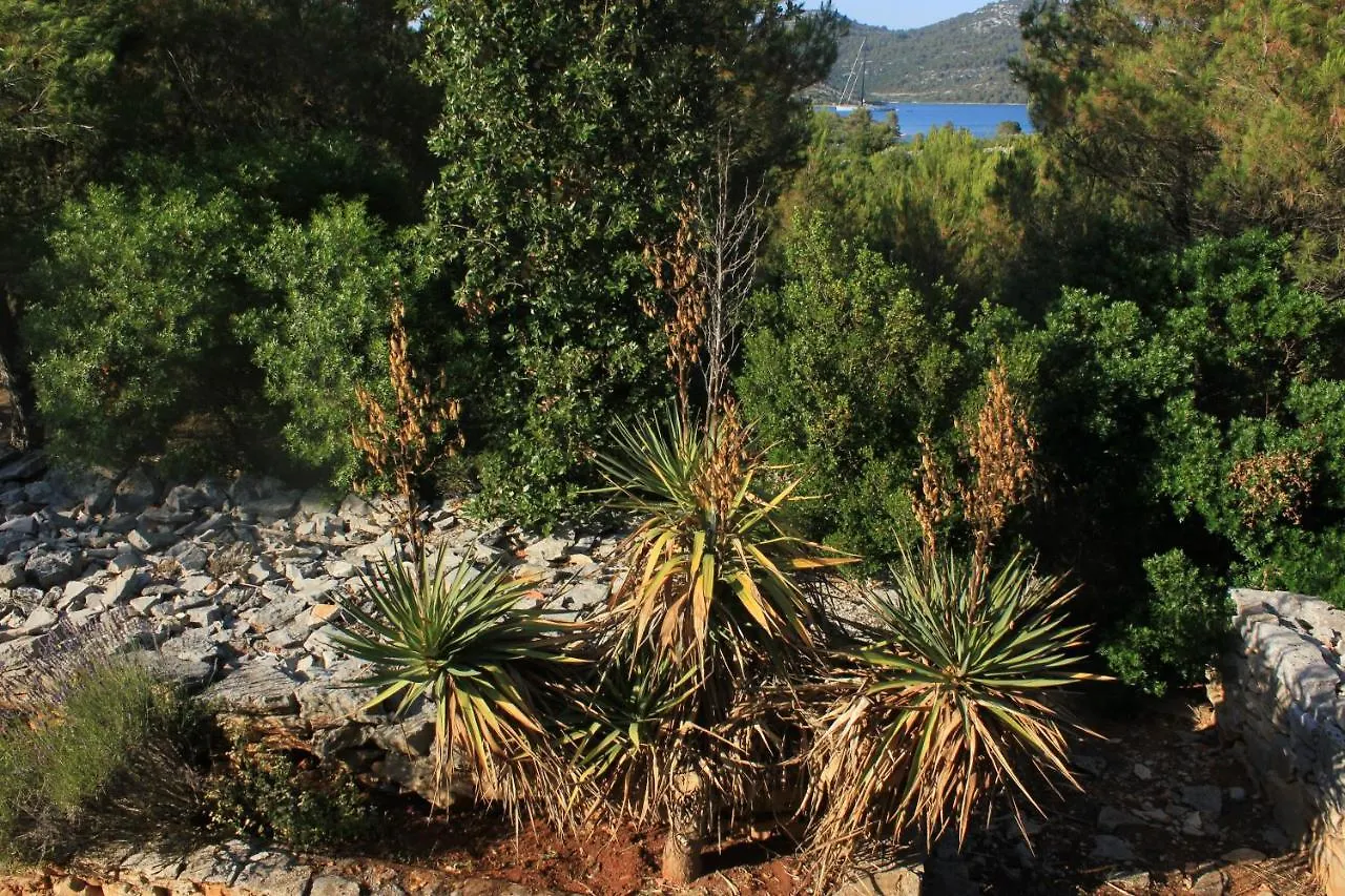 Secluded Fisherman'S Cottage Cove Jaz - Telascica, Dugi Otok - 8143 Sali